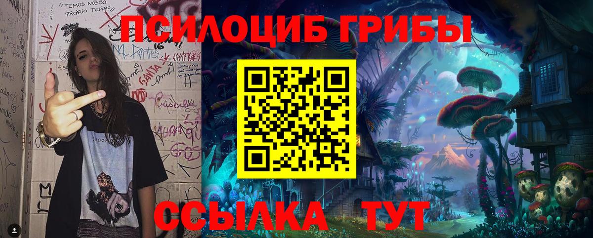 Псилоцибиновые грибы мицелий Усть-Илимск